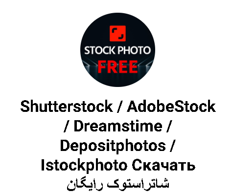 Shutterstock / AdobeStock / Dreamstime 